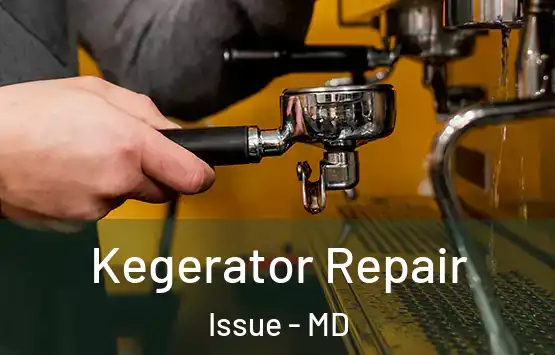  Kegerator Repair Issue - MD