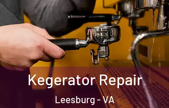  Kegerator Repair Leesburg - VA