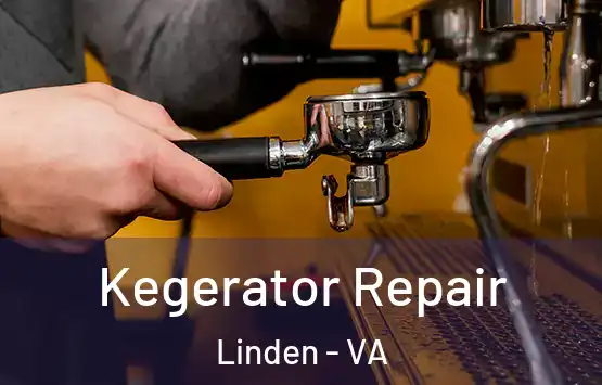  Kegerator Repair Linden - VA