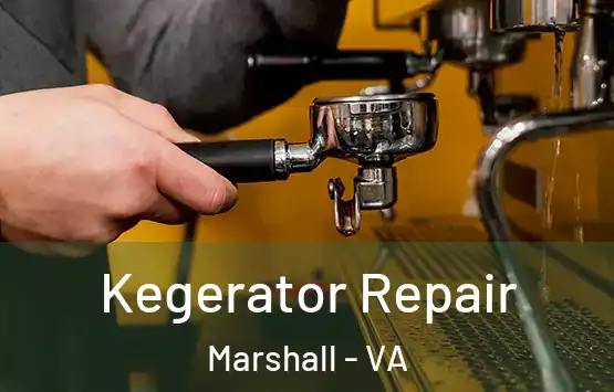  Kegerator Repair Marshall - VA