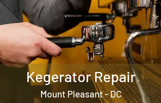  Kegerator Repair Mount Pleasant - DC