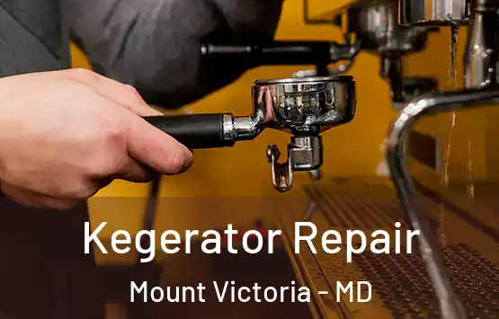  Kegerator Repair Mount Victoria - MD