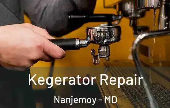  Kegerator Repair Nanjemoy - MD