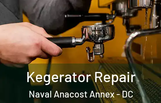  Kegerator Repair Naval Anacost Annex - DC