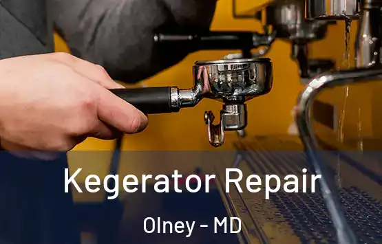  Kegerator Repair Olney - MD