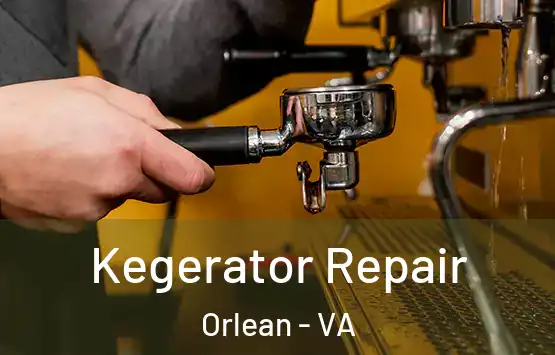  Kegerator Repair Orlean - VA