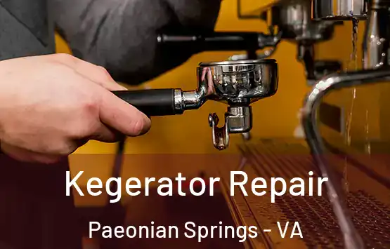  Kegerator Repair Paeonian Springs - VA