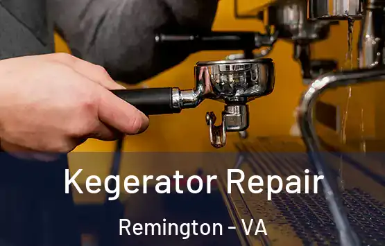  Kegerator Repair Remington - VA