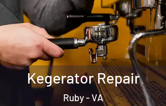  Kegerator Repair Ruby - VA