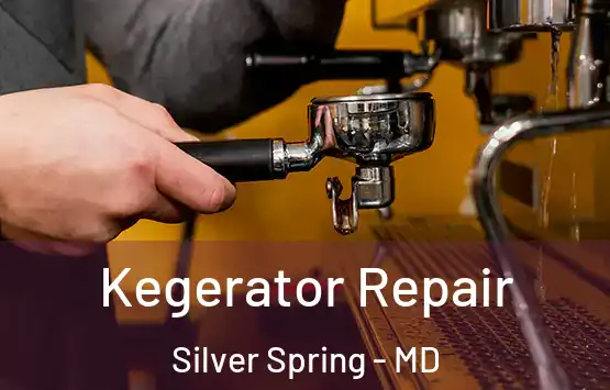  Kegerator Repair Silver Spring - MD