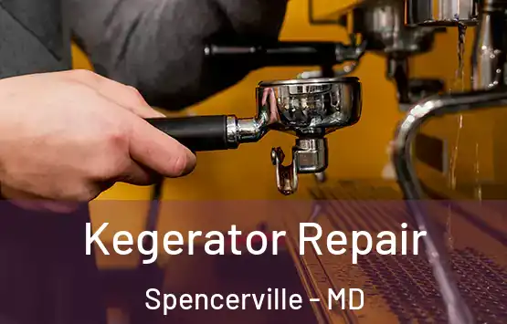 Kegerator Repair Spencerville - MD