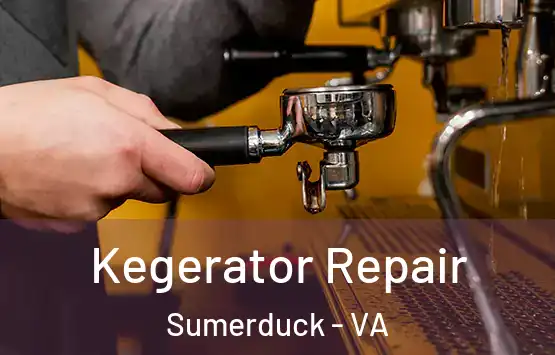  Kegerator Repair Sumerduck - VA