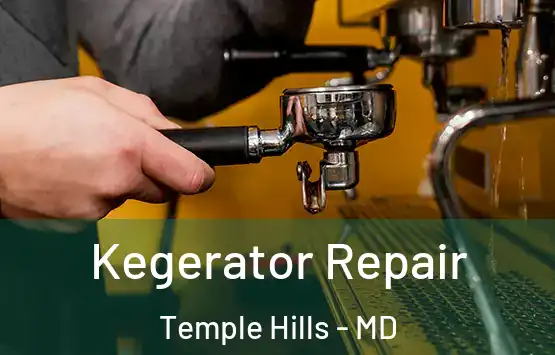  Kegerator Repair Temple Hills - MD