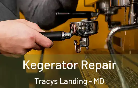  Kegerator Repair Tracys Landing - MD