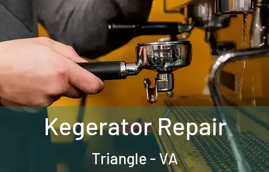  Kegerator Repair Triangle - VA
