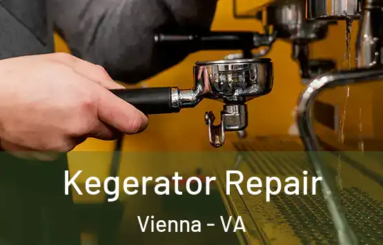  Kegerator Repair Vienna - VA