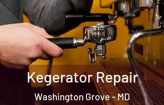  Kegerator Repair Washington Grove - MD