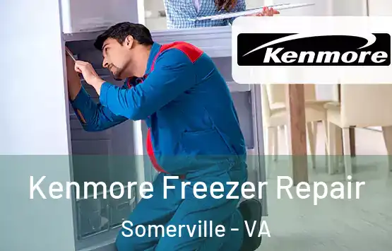  Kenmore Freezer Repair Somerville - VA
