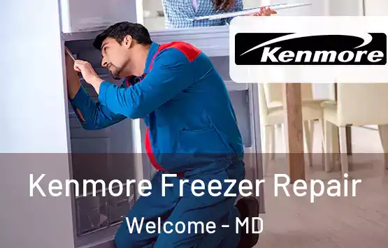  Kenmore Freezer Repair Welcome - MD