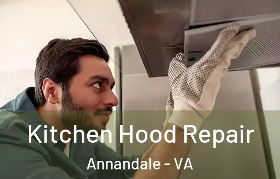  Kitchen Hood Repair Annandale - VA