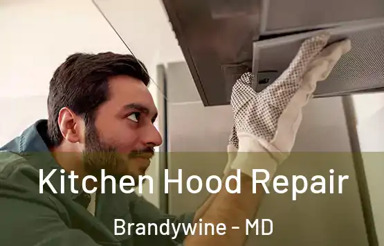  Kitchen Hood Repair Brandywine - MD