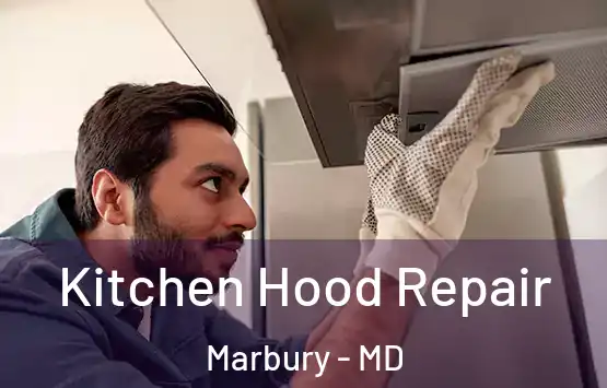  Kitchen Hood Repair Marbury - MD