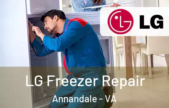  LG Freezer Repair Annandale - VA