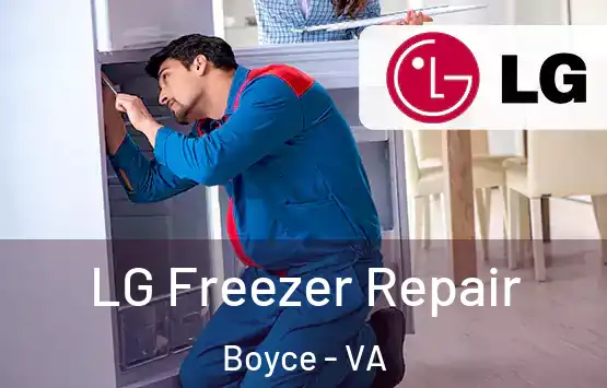  LG Freezer Repair Boyce - VA