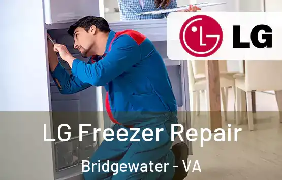  LG Freezer Repair Bridgewater - VA