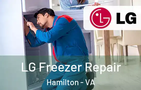 LG Freezer Repair Hamilton - VA