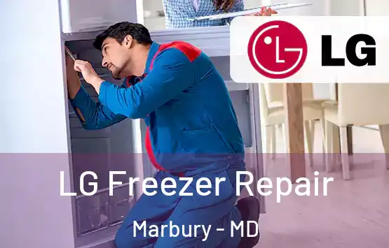  LG Freezer Repair Marbury - MD