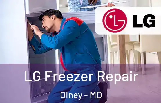  LG Freezer Repair Olney - MD