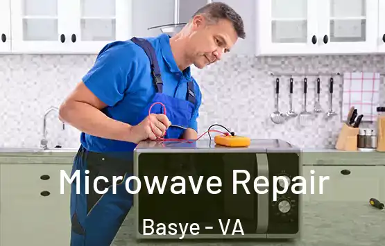  Microwave Repair Basye - VA