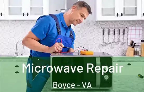  Microwave Repair Boyce - VA