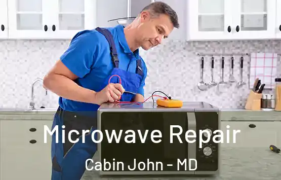  Microwave Repair Cabin John - MD