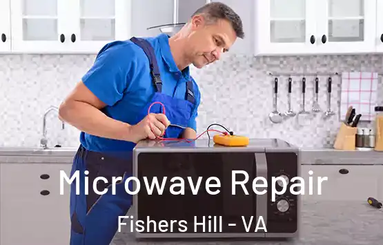  Microwave Repair Fishers Hill - VA