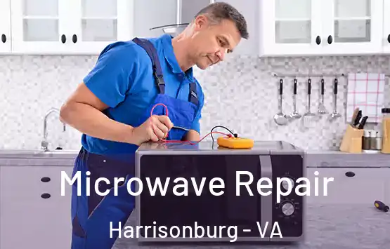  Microwave Repair Harrisonburg - VA