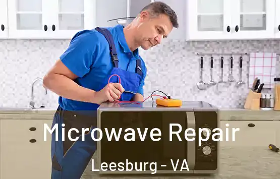  Microwave Repair Leesburg - VA