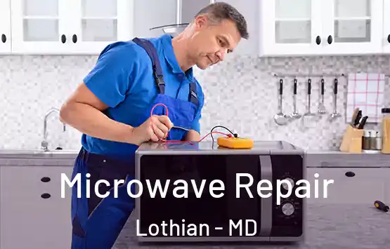  Microwave Repair Lothian - MD