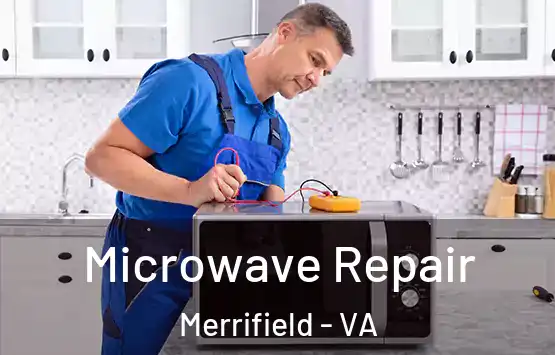  Microwave Repair Merrifield - VA