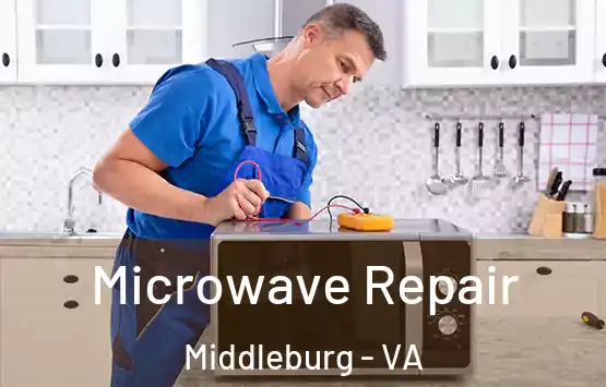  Microwave Repair Middleburg - VA