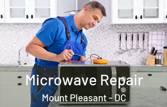  Microwave Repair Mount Pleasant - DC