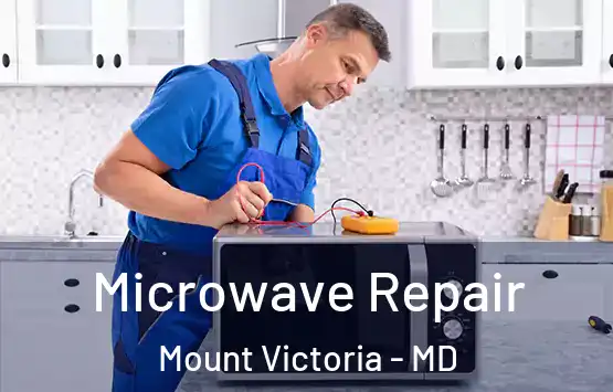 Microwave Repair Mount Victoria - MD