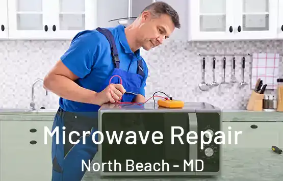  Microwave Repair North Beach - MD