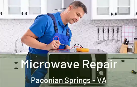  Microwave Repair Paeonian Springs - VA