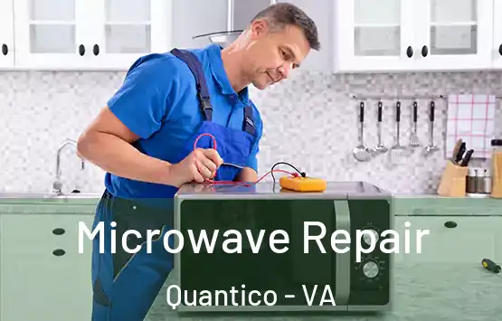  Microwave Repair Quantico - VA