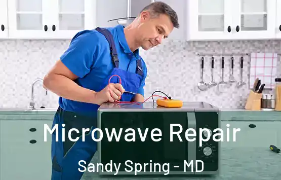  Microwave Repair Sandy Spring - MD