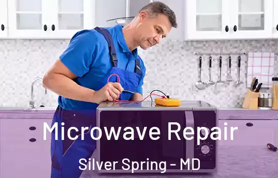  Microwave Repair Silver Spring - MD