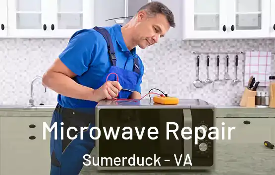  Microwave Repair Sumerduck - VA