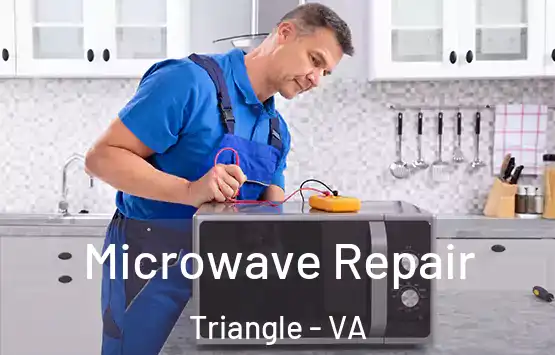  Microwave Repair Triangle - VA